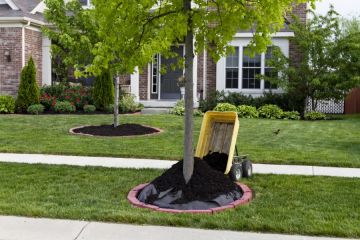 Mulching in Groveland Services