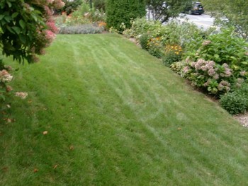 Lawn installation in West Boxford, MA by Earth Landscape.