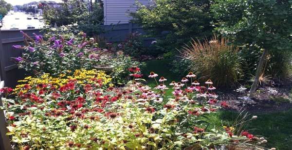 Organic Garden in Salem, MA (1)